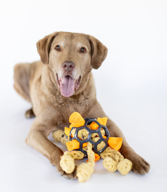 Unbeatable Puzzle Ball