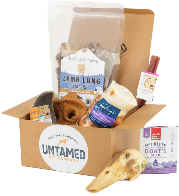 Pet box co cheap